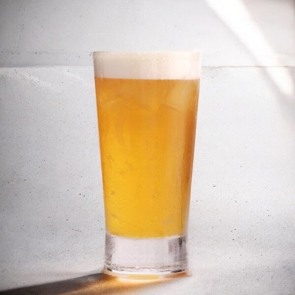FOUR SEASON OOLONG TEA | 600 G - Imagen 3